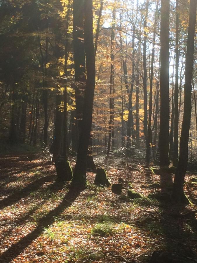 Ferienhaus Schuster Elend Kültér fotó